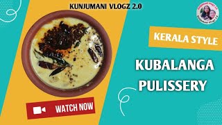 നാടൻ കുമ്പളങ്ങാ പുളിശ്ശേരി||How to make a tasty Kubalanga Pulissery at home..kunjumani vlogz 2.0