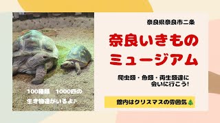 奈良県奈良市二条にある「奈良いきものミュージアム」沢山の生き物達に会って来たよ♪