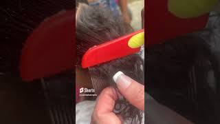 How are lice removed? Use a fine comb to remove nits and lice from damp hair #hair #license #nits