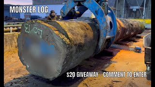 Milling a 4-Ton Kossipo Log from Start to Finish | Monster Log + $20 Giveaway