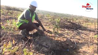 FGM PROJECT/MRADI MKUBWA WA PARACHICHI NA MACADEMIA/NSHIDA WAELEZA KILA KITU/NJOMBE KUNUFAIKA/