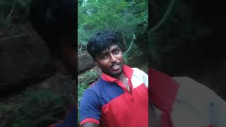 kalakad Vantha Ellarum Visit panni parunga 🌊#kalakad #kutty #vivasayi #video