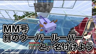 【Minecraft】マリン船長、豪運◎1200分の1を見事配信中に引く【ホロライブ / 宝鐘マリン / 切り抜き】