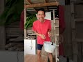 di suruduk sapi si te2h na angg shorts hiburan lucu sketbor kontenhiburan