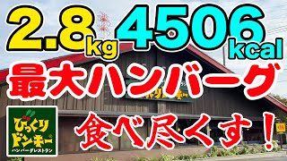 びっくりドンキーで2.8kg＆4506kcalをガリバーメニューで食べ尽くす！！