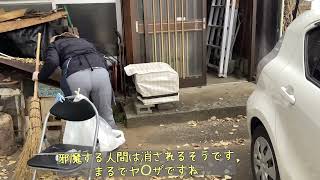 ケイコさん50代ぼちぼち空き家リノベ#15￼屋根着手、猫の即席ハウス、ラブの服、またまた毒舌炸裂#diy #空き家#リノベ #ハンドメイド #干し柿