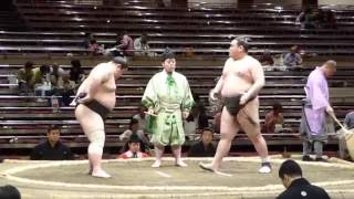 Fukunokuni (1-1) - Kotokuzan (2-0) , Sumo : Natsubasho '16