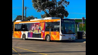 CDC Wyndham W295 on Route 443 (Werribee Southern Loop)