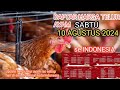 HARGA TELUR AYAM RAS HARI INI, SABTU 10 AGUSTUS 2024