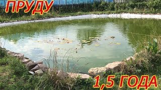 ПРУДУ 1,5 ГОДА. ВОДОЁМ НА ДАЧЕ. ШИКАРНЫЙ ПРУД. ПРУД С ПЛЕНКОЙ!выкопанный пруд!