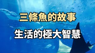 生活的極大智慧，在這三條魚的故事裡！看完就會懂得什麼是命，更懂得隨遇而安的道理！The wisdom of life is in the story of this 3 fishes【愛學習 】