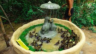 Build Most Awesome Water Pool For Baby Duck Swimming