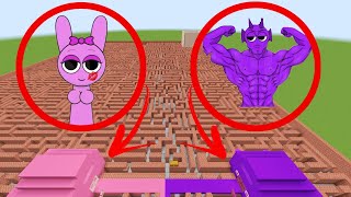 I found the house of PINKI and Bodybuilder DURPLE NEW Incredibox Sprunki in Maze Gmod Minecraft