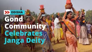 ଗଣ୍ଡ ସମାଜରେ ଜଙ୍ଘା ଦେବତାଙ୍କ ପୂଜା | Gond Community Celebrates their Janga Deity