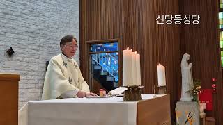 신당동 성당 이찬일 안드레아 주임 신부님 영명축일 축하식이 2024. 11. 24일 11시 미사에서 있었습니다.