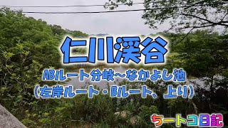 【仁川渓谷・仁川駅発】〔上り 3〕（左岸ルート・Bルート）ABルート分岐～なかよし池　ノーカットで見たい人はコレ！