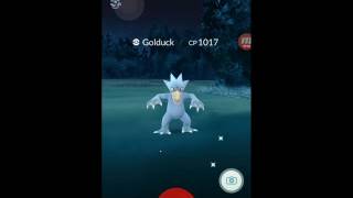 [포켓몬고][Pokemongo] CP 1000 넘는 야생 골덕 잡기 ! Catching  Wild golduck CP over 1000