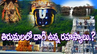 తిరుమల వైకుంఠ దర్శనంలో దాగి ఉన్న రహస్యం | Tirumala Vaikuntha Dwaram#Kick Media