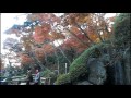 autumn leaves at hase dera kamakura 鎌倉 長谷寺 紅葉