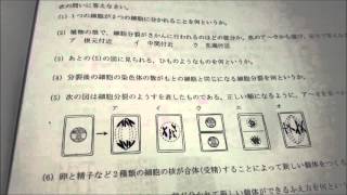 【#00501】柴又教室オリジナル～テスト対策用「プリント問題集」：早稲田育英柴又教室