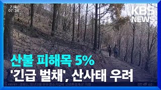 산불 피해목 5%만 ‘긴급 벌채’…산사태 등 2차 피해 우려 / KBS  2022.04.07.