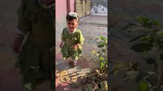 ever green 🍏🍏💚💚💚 #cutebabycarebaby #cutebaby #funny #cuteaby #punjabisong #trending #cute