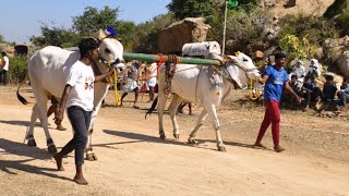 2025-డోన్ మండలం చనుగొండ్ల గ్రామం నాలుగు పళ్ళ విభాగం 11  వ జత