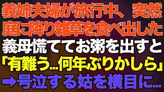 【スカッとする話】$$$  義姉夫婦が旅行中、突然庭に降り雑草を口にし出した義母慌ててお粥を出すと「有難う…何年ぶりかしら」→号泣する姑を横目に…