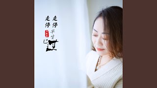 走走停停半生已过 (DJ默涵版)