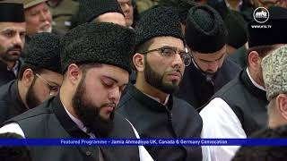 Promo - Jamia Convocation Shahid 2017