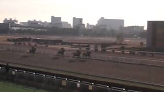 平成25年度第10回船橋競馬　能力調教試験　２Ｒ