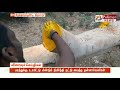 கஜா புயலில் சாய்ந்த அரசமரம் 8 மாதங்களுக்குப்பின் துளிர் விட்டது