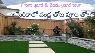 Front yard & Back yard tour @America | USA అమెరికాలో పండ్ల తోట పూల తోట #telugu #garden #backyard