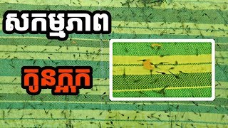 សកម្មភាពកូនក្អុកអាយុ ៥ ថ្ងៃ