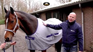 Bucas | Buzz-Off Classic | Fly rug