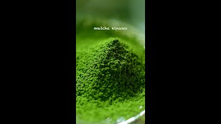 濃いかため抹茶プリンにやすらぎと夏を感じるおやつタイム🌿／Rich and firm matcha pudding🌿Snack time to feel the summer.#shorts