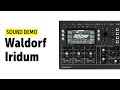 Waldorf Iridium Sound Demo (no talking)