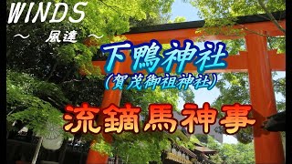 下鴨神社　流鏑馬神事　２０２４．５．３　PM２：００　WINDS　～風のように速い騎馬の疾走姿