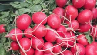 Hobart's Farm Gate Market - Tasmanian local farm produce, food and beverages