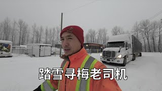 先修个车灯热热身 老司机上路开始踏雪寻梅