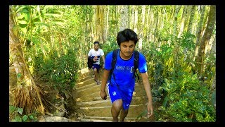 Lawachara National Park, kamalgonj, Srimangal, Sylhet-Bangladesh | লাউয়াছড়া বন, শ্রীমঙ্গল, সিলেট