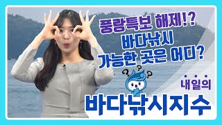 [바다낚시지수]25년2월9일 풍랑특보 해제! 바다낚시 가능한 포인트를 찾아라!! / 해양예보방송