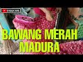 BAWANG MERAH MADURA