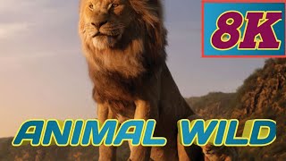 Wildlife Animals 16K 120 FPS ( ULTAR HD VIDEO) 16K HDR Videos In Discovery Wild Animals