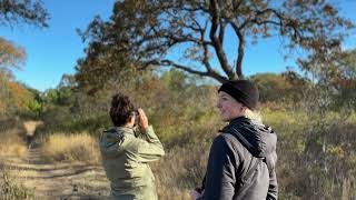 Birding with Caitlin | Uplands park, Victoria