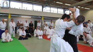 Irimi Atemi Awase Musubi - Leo Tamaki AIKIDO