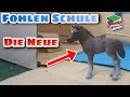 DIE NEUE 📚 Fohlen Schule #1 | Schleich Serie