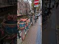 Bicycles in Amsterdam 🇳🇱