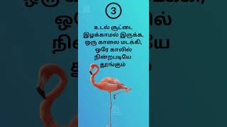 பூநாரை ஏன் ஒற்றை காலில் நிற்கிறது? #shorts #மேன்மக்கள் #mainmakkal