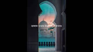 নিশ্চয়ই তোমার ওপর তোমার মেহমানের হক রয়েছে। বুখারি হাদিস: ৬১৩৪#viralvideo #islamicvideo